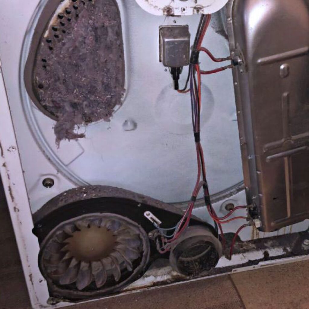 Shows the open back of a dryer. There is lint build up in side the machine and on the ventilation holes.