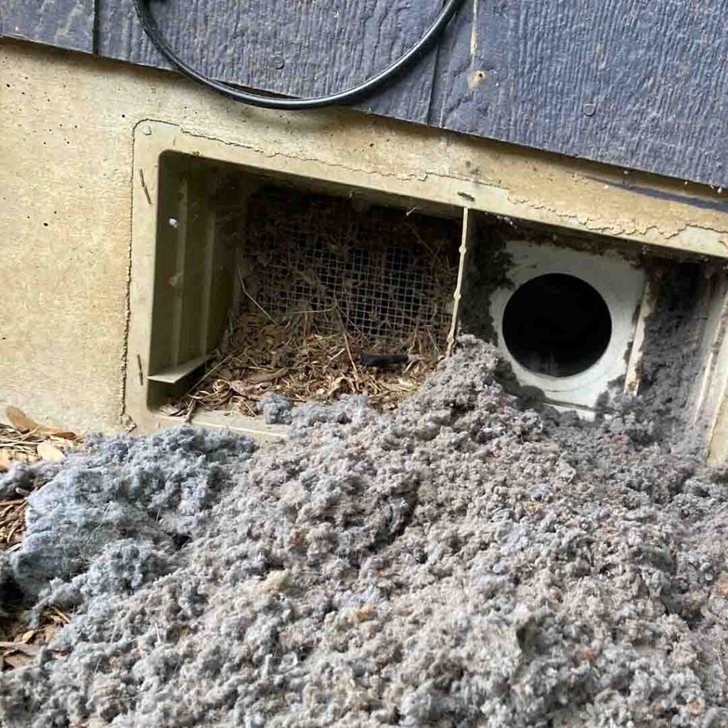 clogged dryer vent