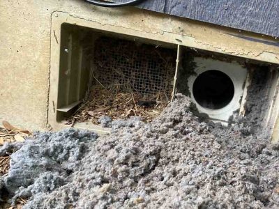 Dryer-Vent-Cleaning-1