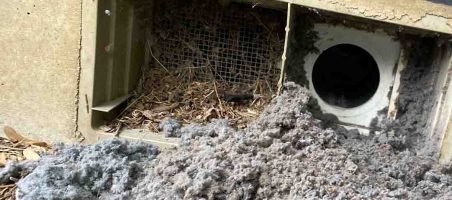 clogged dryer vent