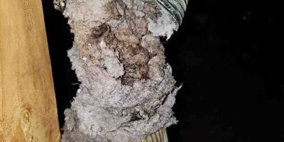 Dryer-Vent-Line-Inspection-1